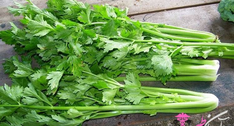فواید کرفس