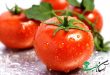 فواید گوجه فرنگی در پیشگیری از سرطان‌های مختلف