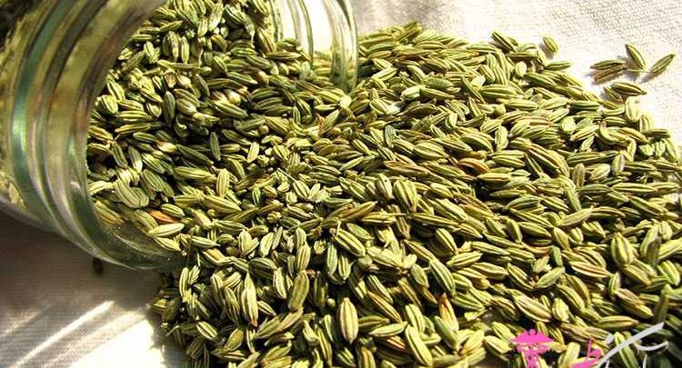 خواص رازیانه