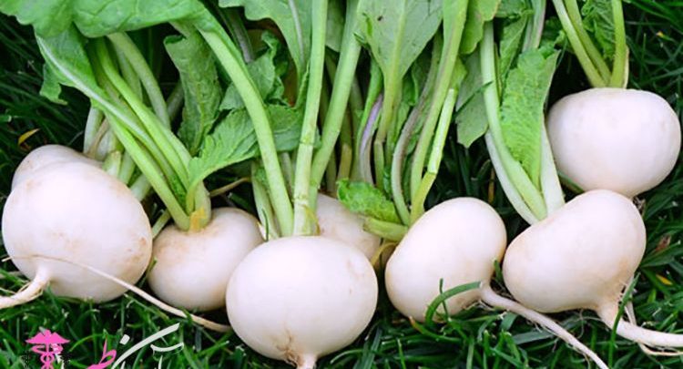 خواص ترب