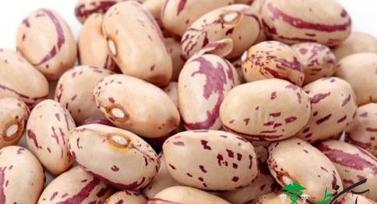 لوبیا چیتی