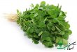 خواص شنبلیله گیاهی پر فیبر و مفید برای سلامتی