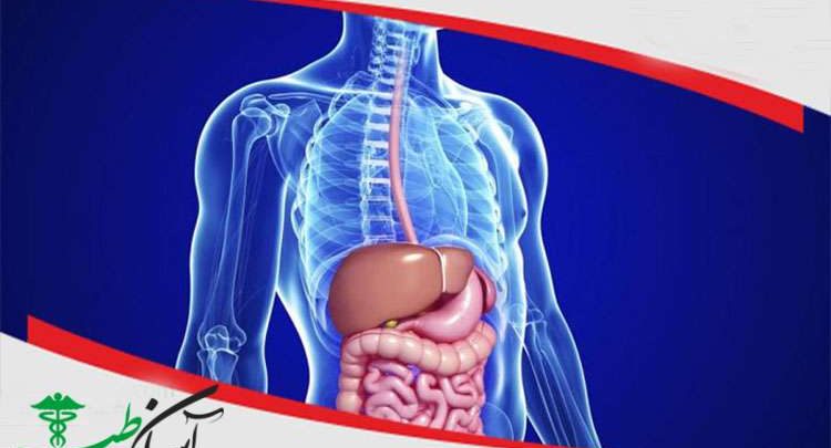 بیماری های دستگاه گوارش و بیماریهای معده و روده