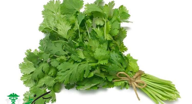 خواص گشنیز