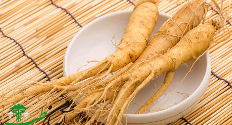 جین سینگ سیبریایی