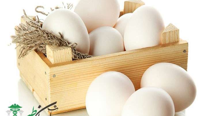 رژیم غذایی تخممرغ
