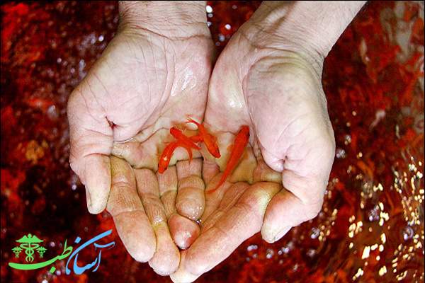 نگهداری از ماهی قرمز در سال نو و اهمیت این حیوان آبزی
