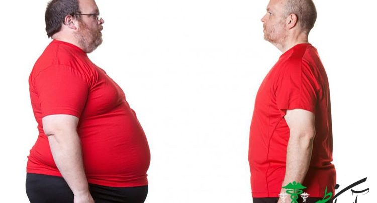 خام‌گیاه خواری