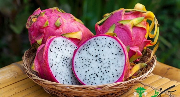 میوه اژدها