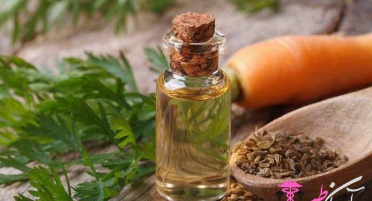 روغن تخم هویج