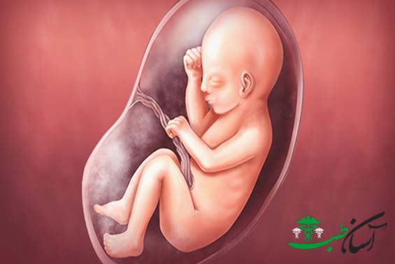 علائم جنین پسر در ماه سوم
